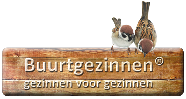 Buurtgezinnen